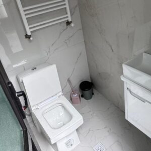 استخردار جنگلی دالخانی