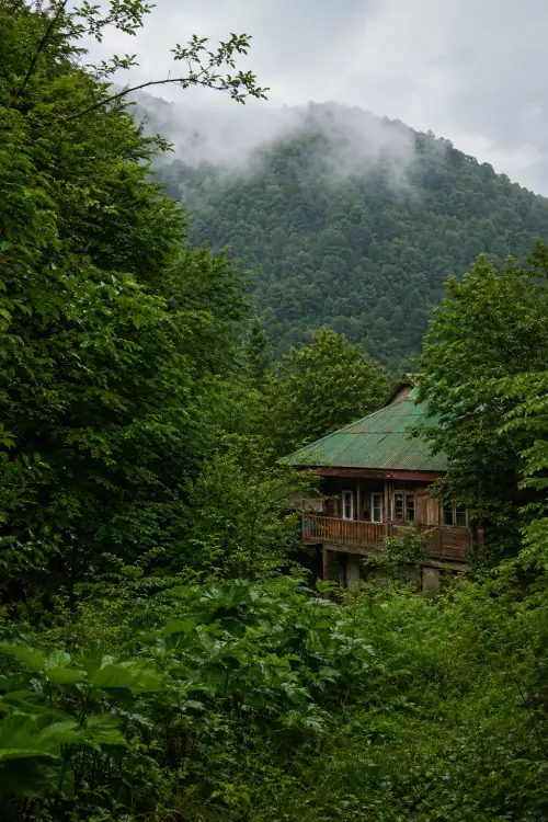 جنگل اربکله