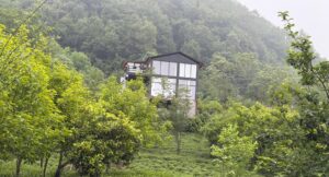 ویلا جنگلی جواهرده