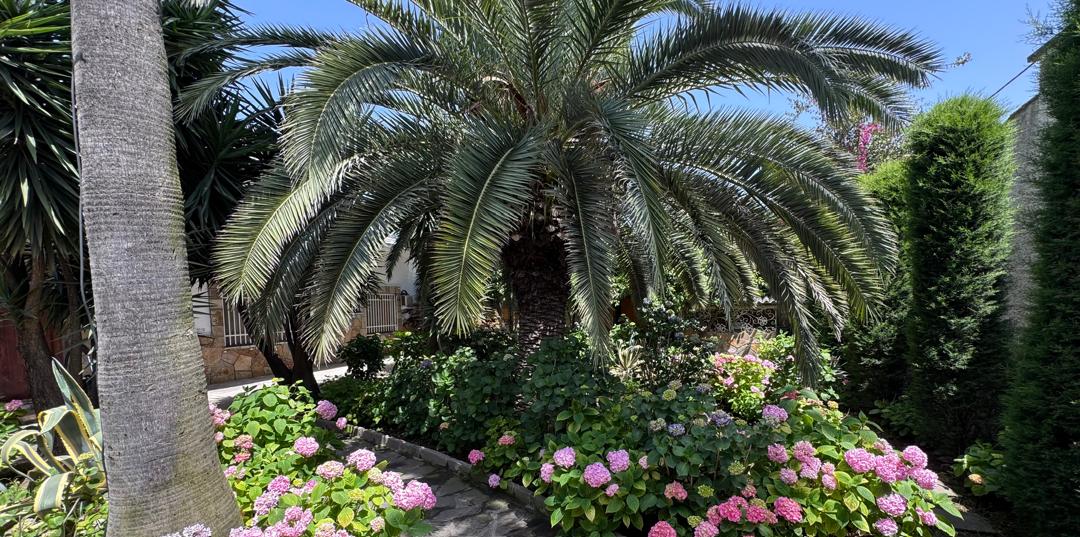استخردار ساحلی