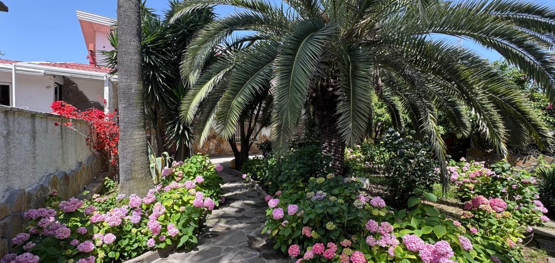 استخردار ساحلی