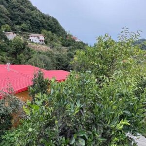 کلبه درختی دو نفره جواهرده