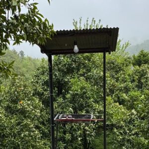 کلبه درختی دو نفره جواهرده