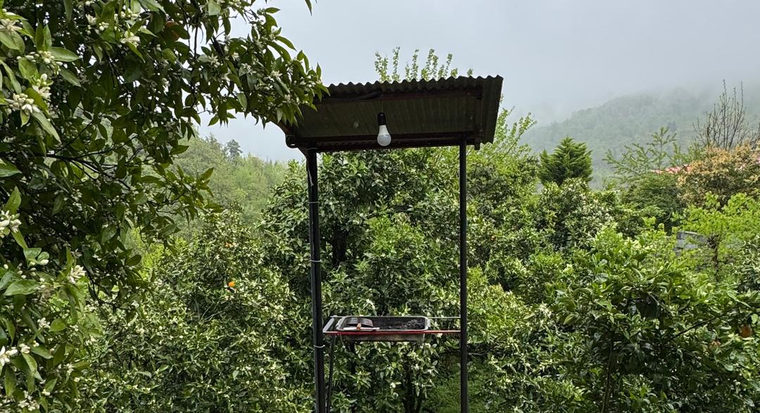 کلبه درختی دو نفره جواهرده
